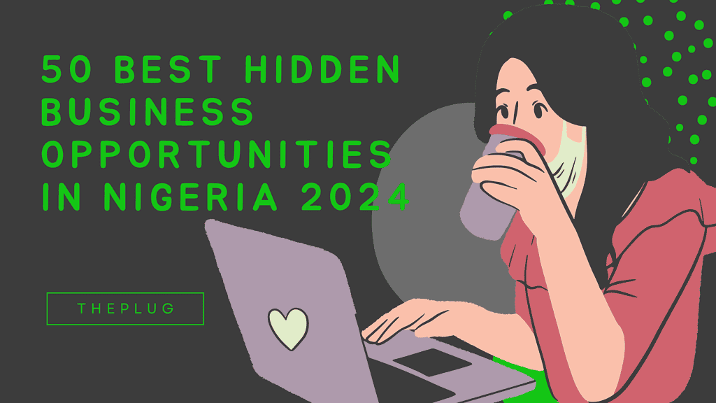 Hidden Business Opportunities In Nigeria