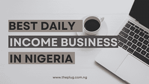 Read more about the article Best Daily Income Business In Nigeria Right Now 2024